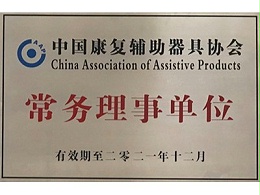 国务院关于加快发展康复辅助器具产业的若干意见