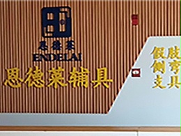 恩德莱南宁公司