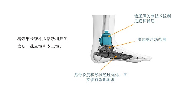 液压踝万向脚2