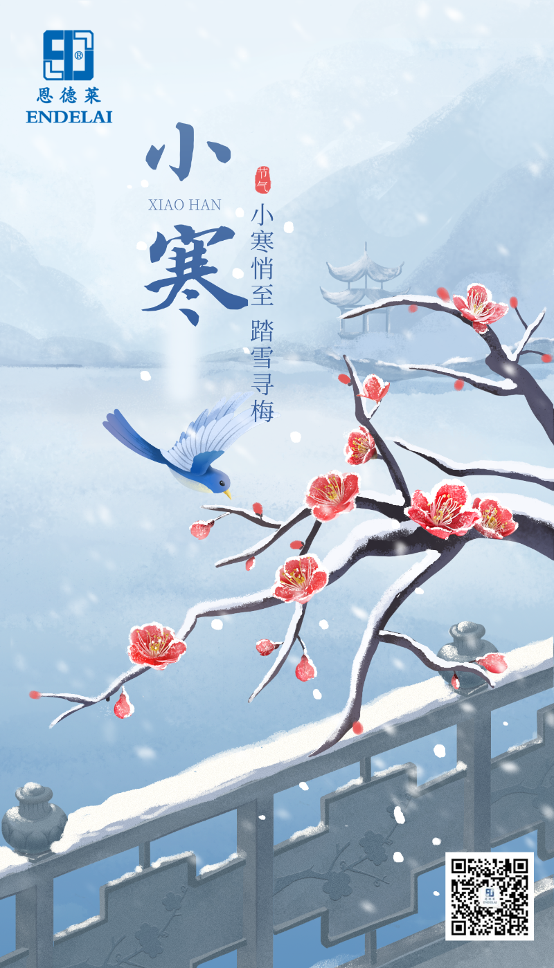 手绘风小寒主题海报