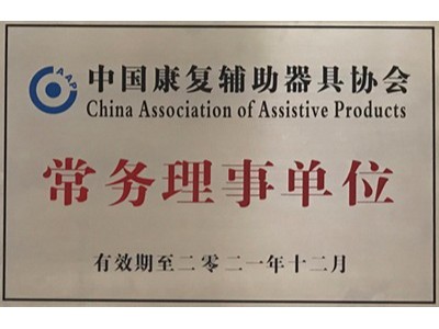 国务院关于加快发展康复辅助器具产业的若干意见