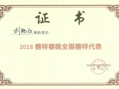 2018全国榜样大型春节联欢晚会在京举行