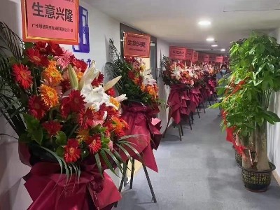 新店开业 | 热烈庆祝深圳恩德莱公司隆重开业，加速市场网络布局！