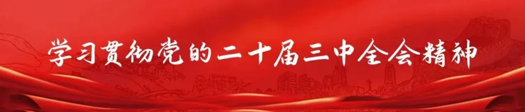 学习贯彻党的二十届三中全会精神