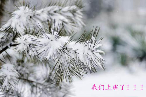 1_140208111729