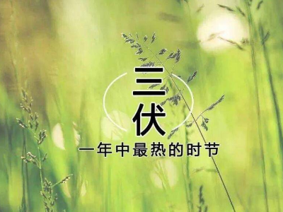 恩德莱提醒您：三伏天藏着这么多传统文化
