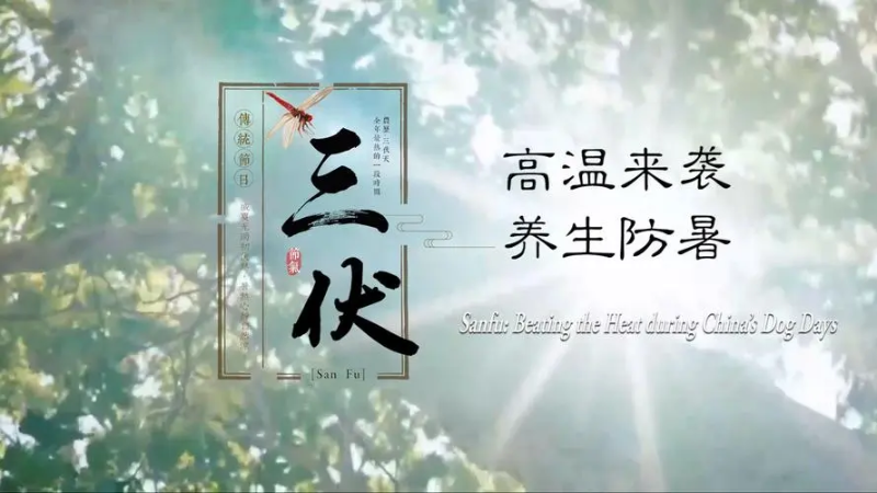 QQ图片20240724151638