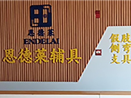 恩德莱南宁公司