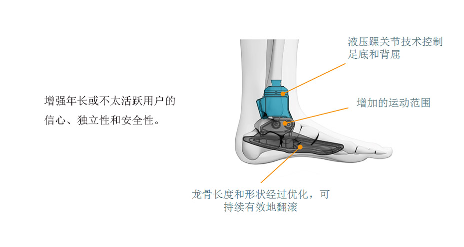 液压踝万向脚2