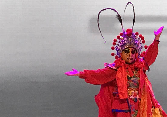 IMG_8060_170213104644