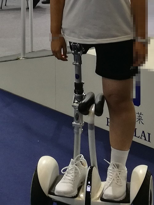 恩德莱四连杆髋关节