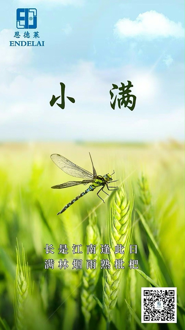 恩德莱