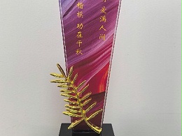 善德永存，爱满人间|恩德莱荣膺“助残楷模”奖杯