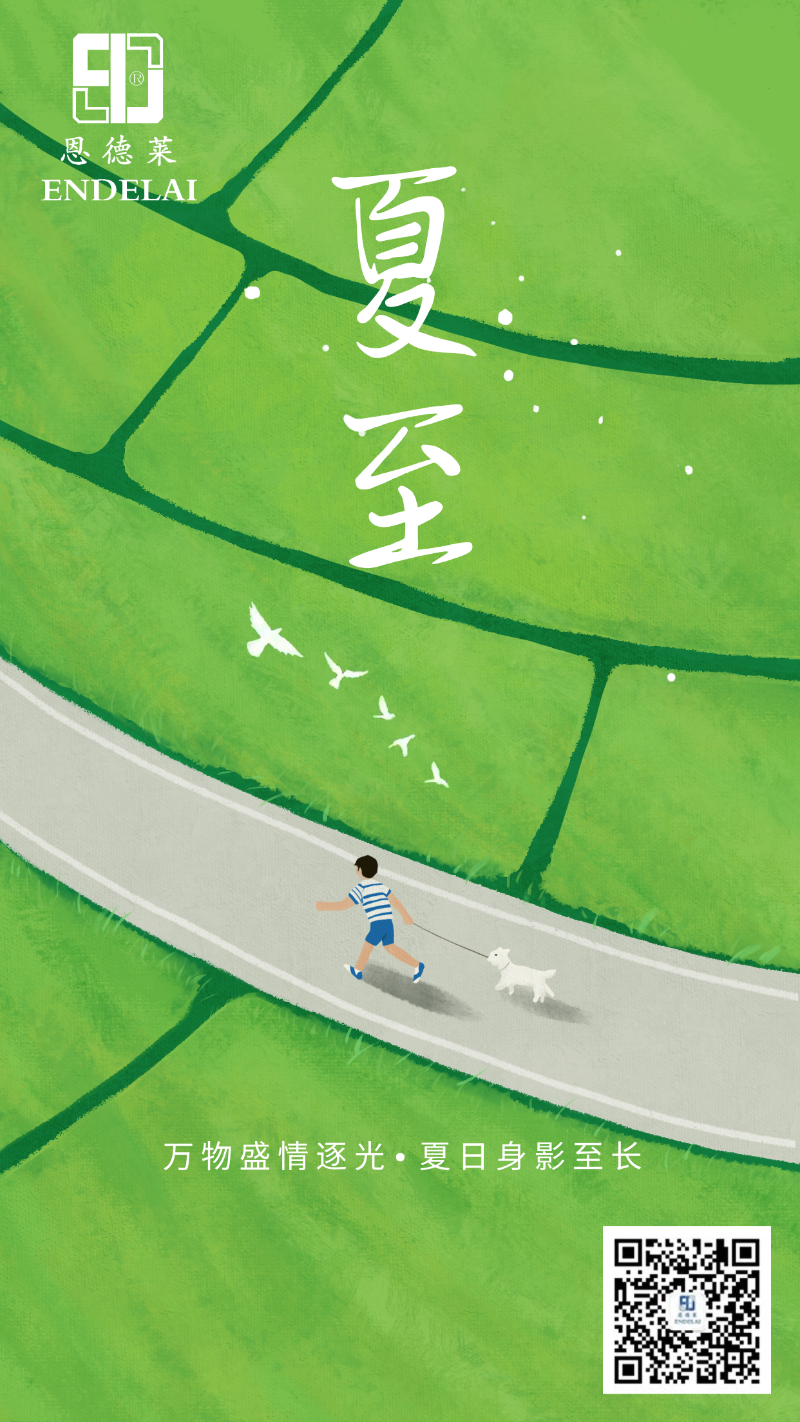 手绘风夏至主题海报