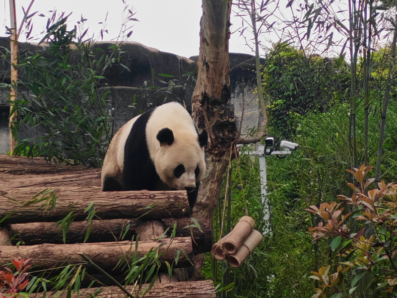 图片 2