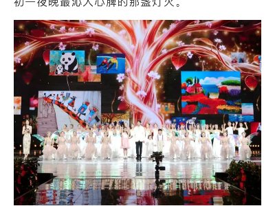 苔花如米小，也学牡丹开 当无声的双手托起2026北京台春晚最亮的星