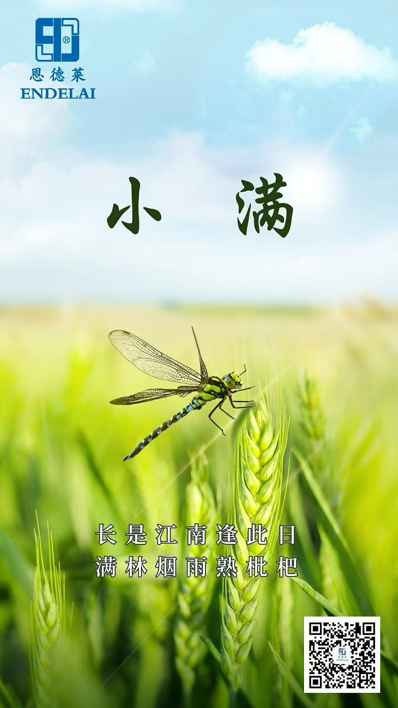 恩德莱