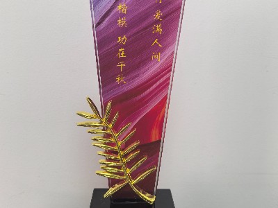 善德永存，爱满人间|恩德莱荣膺“助残楷模”奖杯